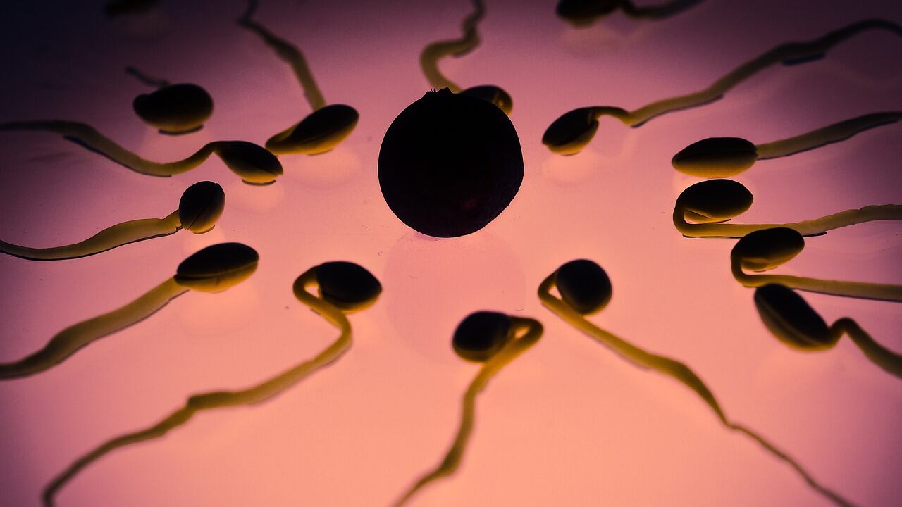 I farmaci anti diabete e la fertilità maschile. La scoperta da una ricerca tutta italiana