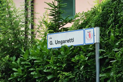 Sgozzati in casa 2