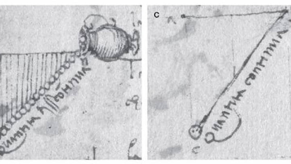 Leonardo da Vinci scoprì il segreto della gravità prima di Newton