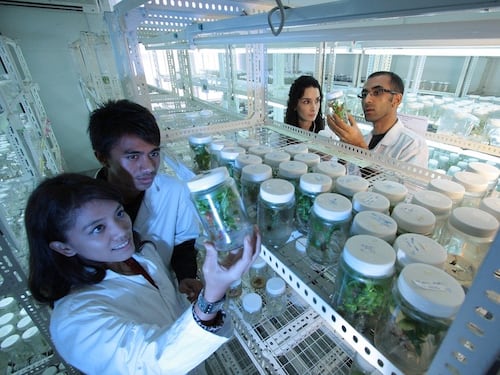 Le professioni in ascesa ai tempi del Coronavirus