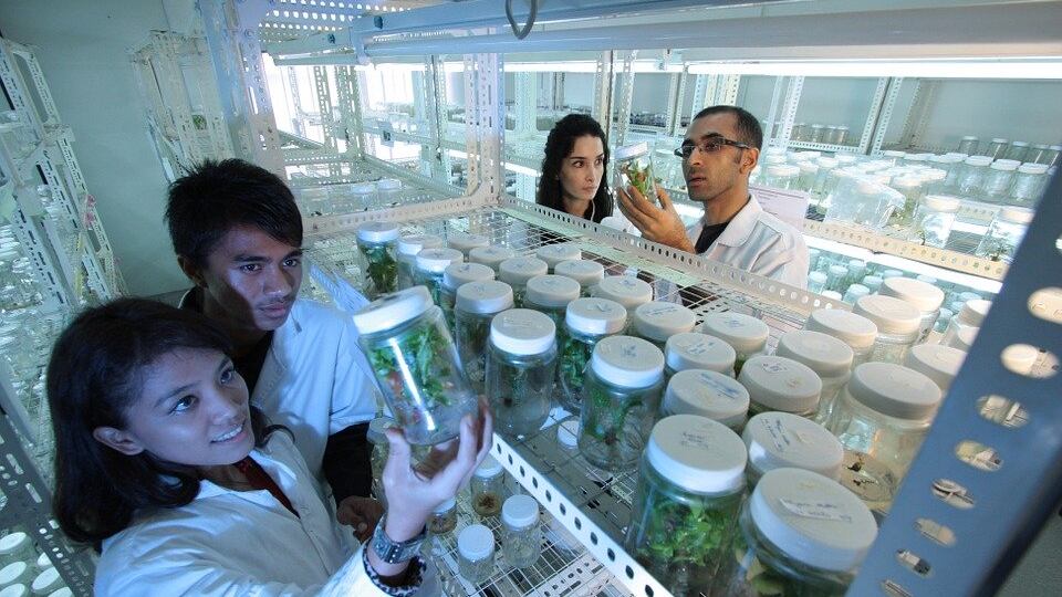 Le professioni in ascesa ai tempi del Coronavirus