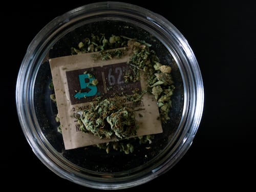 "Sì alla cannabis legale": la svolta che spacca la Germania