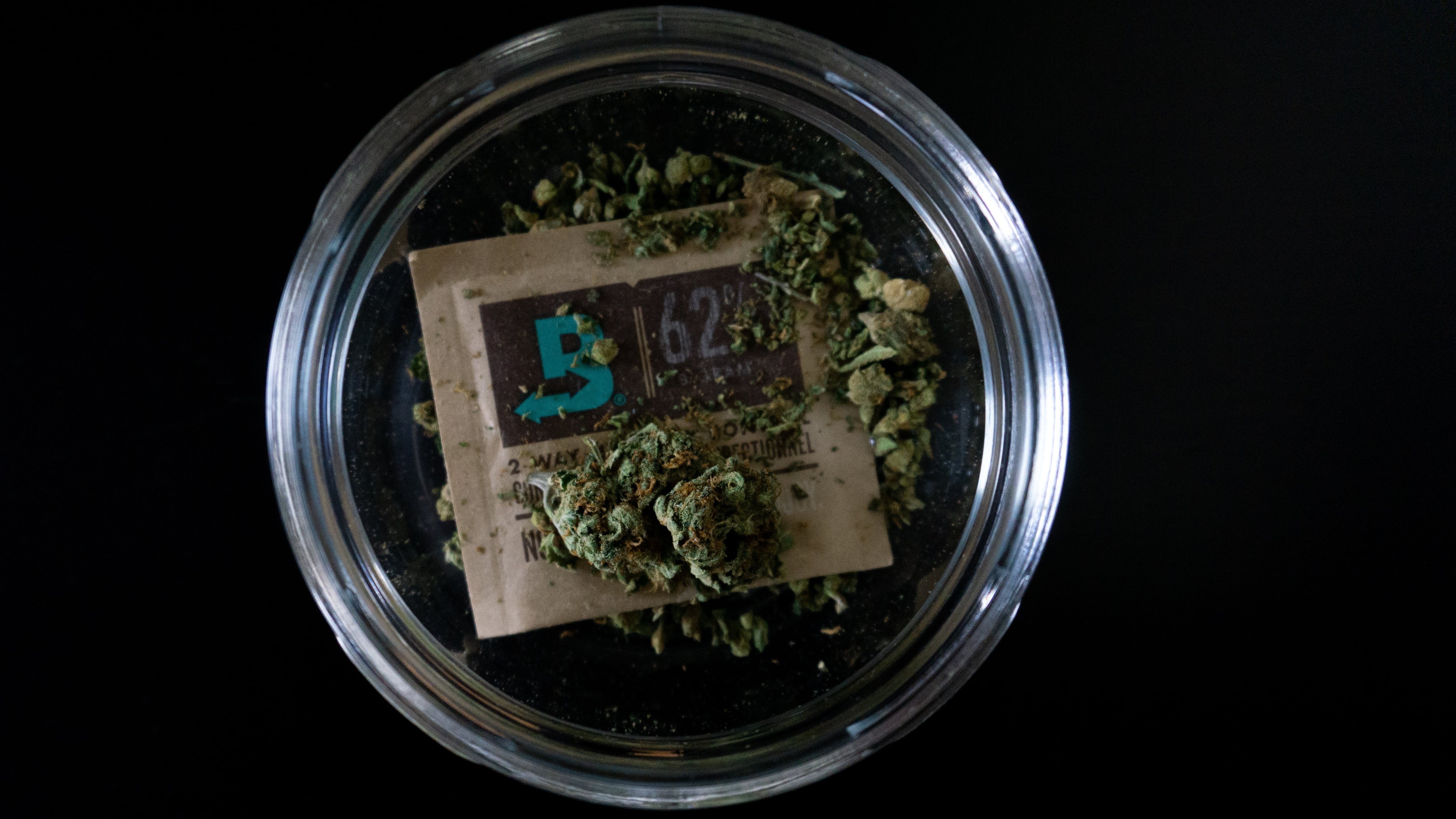 Cannabis light fuori legge. No vendita e coltivazione