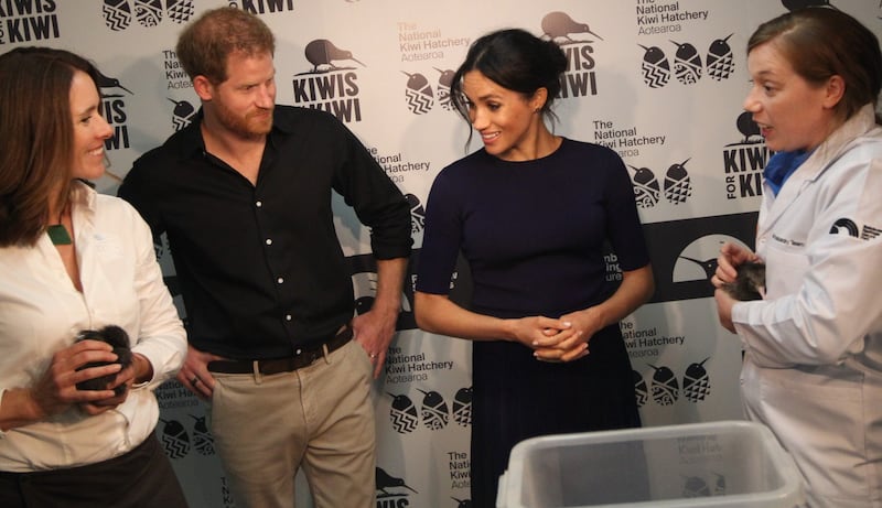 Meghan Markle e il Principe Harry felici: foto 9