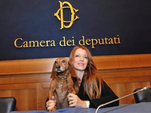 Ok della Camera alla pdl che inasprisce le pene per i reati contro gli animali