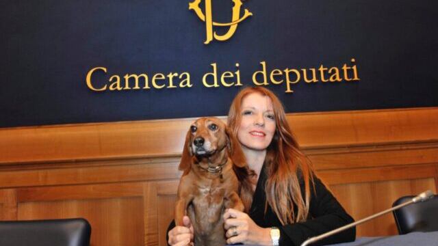 Tutela degli animali. Multe e condanne