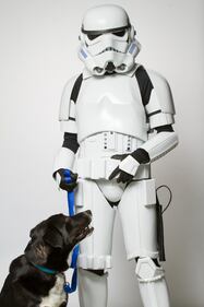 I personaggi di Star Wars per l'adozione degli animali 11