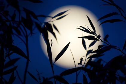 La Luna più bella dell'anno 3