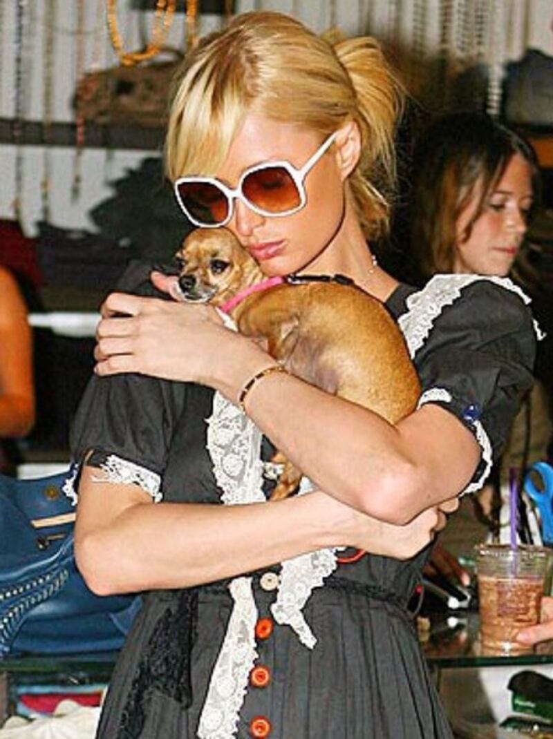 Paris Hilton su Instagram: "E' morta la mia Tinkerball" 1