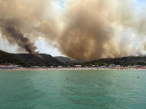 Incendi in Puglia, turisti evacuati a Peschici: le fiamme a due passi dalle spiagge