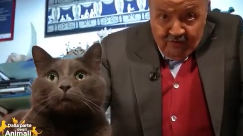 Maurizio Costanzo, cani, tartarughe e il grande amore per il gatto Filippo