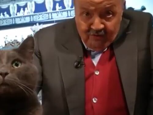 Maurizio Costanzo, cani, tartarughe e il grande amore per il gatto Filippo