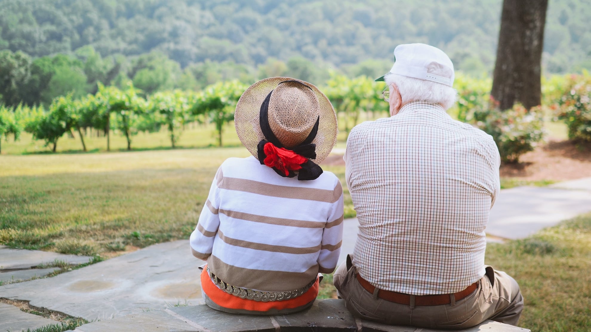 Magnesio, benefici per gli over 60 e come assumerlo