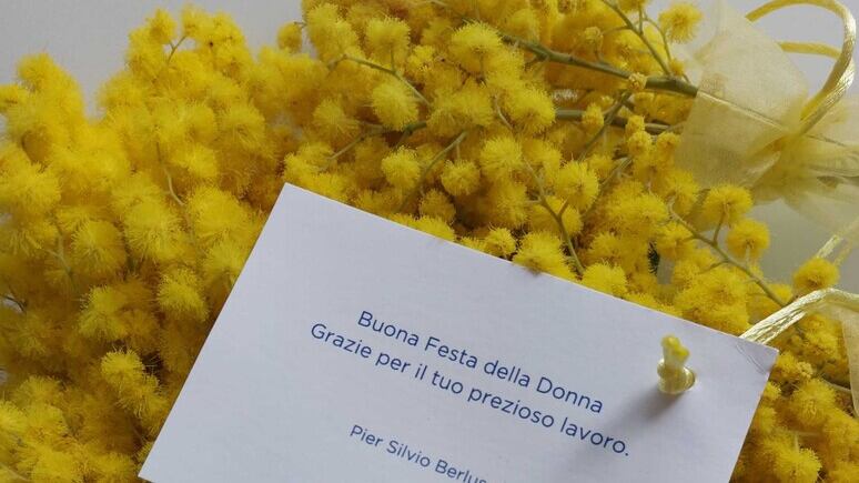 Gli auguri di Pier Silvio Berlusconi alle dipendenti per la festa della donna