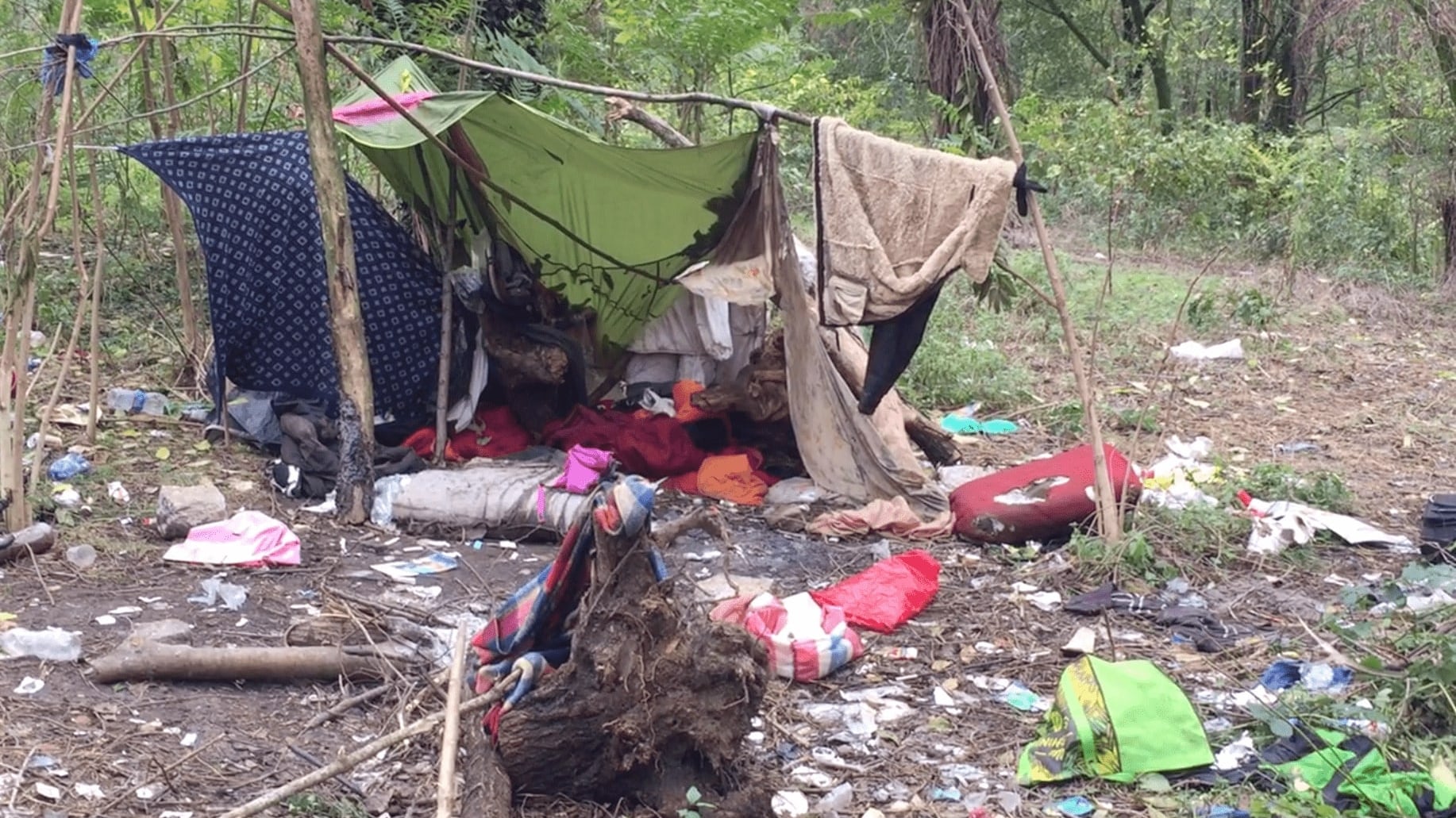 "Nel bosco della droga giovanissime in cerca di una dose"