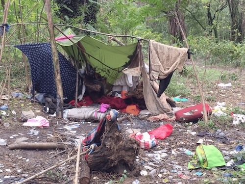 "Nel bosco della droga giovanissime in cerca di una dose"