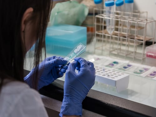 Tumori del sangue, 3 anni di sopravvivenza grazie ai nuovi trattamenti
