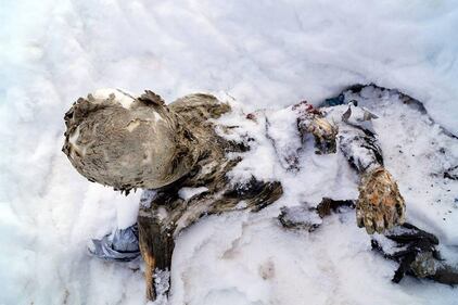 Gli scalatori mummificati sul vulcano in Messico 5