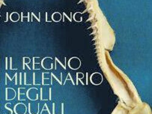 "Gli squali svelano le nostre origini e ci insegnano a sopravvivere"