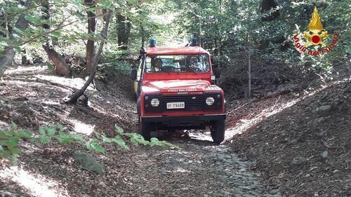 Varese, donna di 87 anni si perde nel bosco: ritrovata dopo un'ora di ricerche 1
