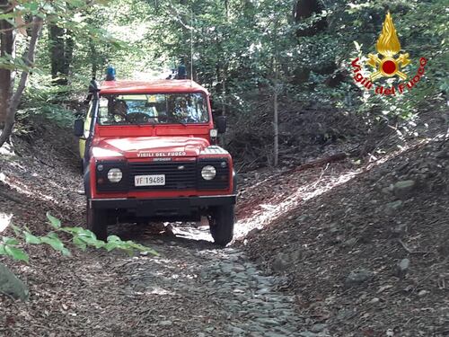 Varese, donna di 87 anni si perde nel bosco: ritrovata dopo un'ora di ricerche