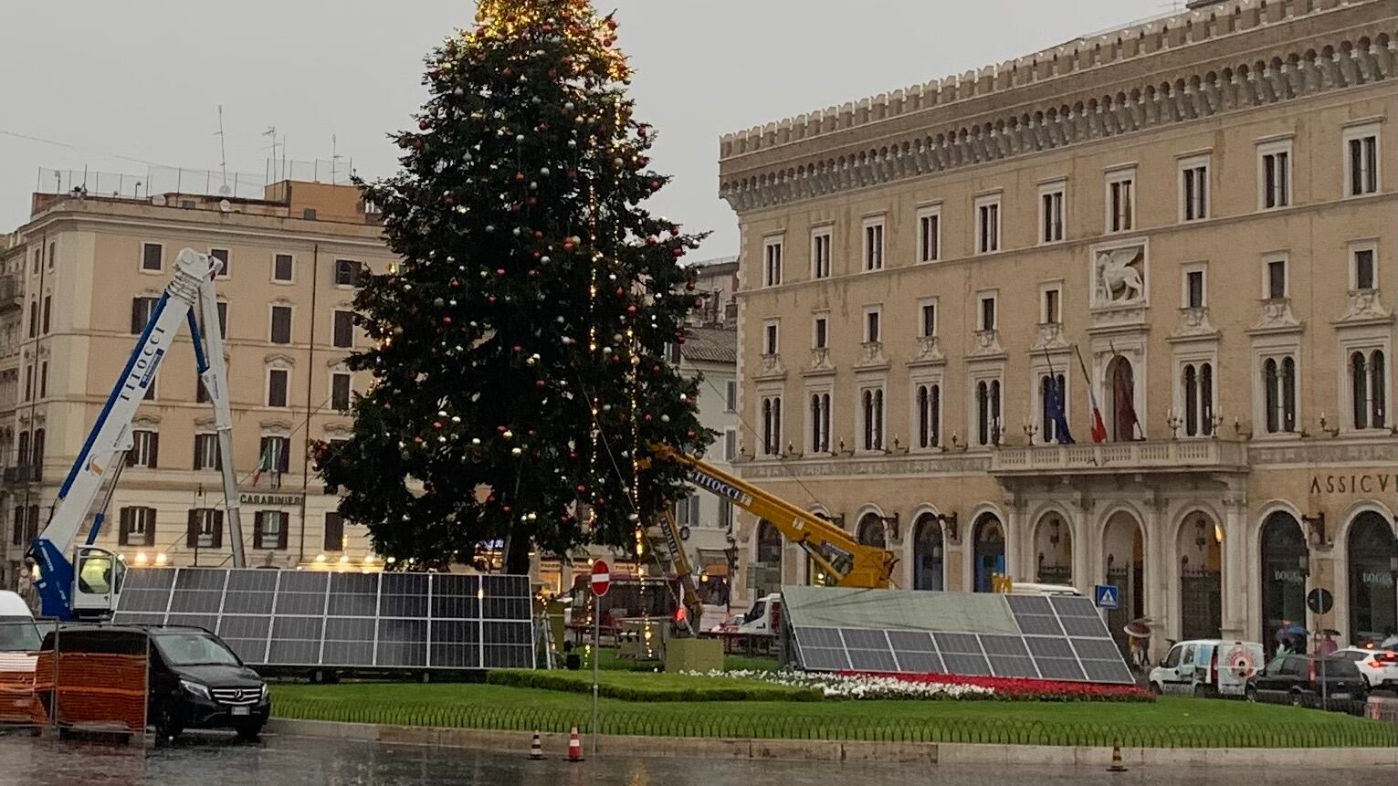 A Roma arriva "Spelacchio 2": l'albero circondato da pannelli fotovoltaici