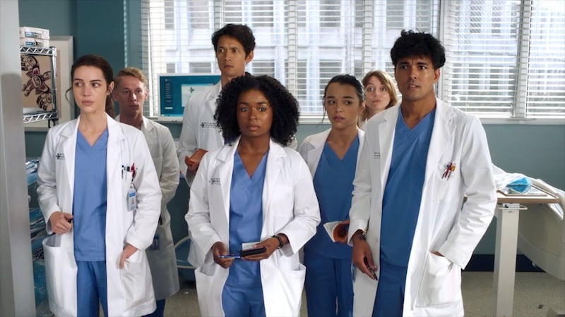 Grey-anatomy1