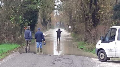 Il Ticino esonda ed allaga Pavia 6