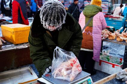 Sopravvivere al freddo invernale, in Cina 13