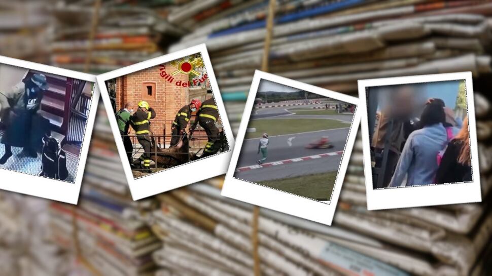 I cinghiali sui Navigli e quella rissa sui kart: le "follie" della settimana