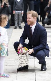 Meghan Markle e il Principe Harry: foto 3