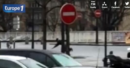 Francia sotto scacco: ecco i luoghi del terrore 13