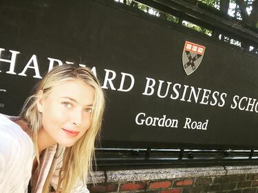 Sharapova squalificata si iscrive ad Harvard 6