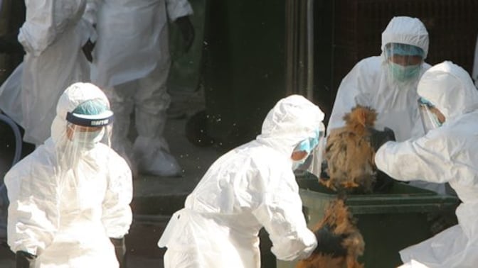 È allarme pandemia: dalla Cina l’influenza che può uccidere ovunque