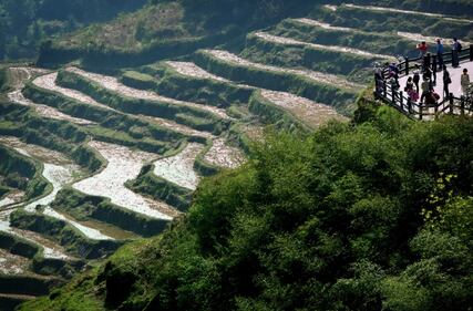 Lo spettacolo dei campi terrazzati in Cina 16
