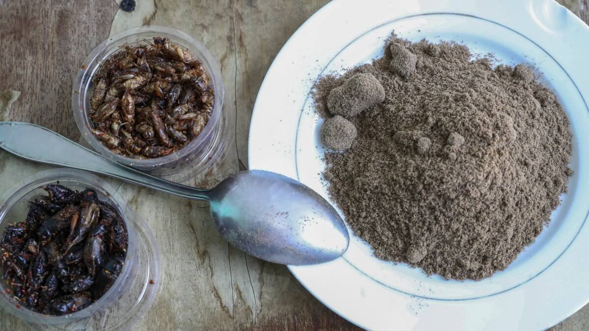 Un fallimento dietro l'altro: gli alimenti a base di insetti non se li fila nessuno
