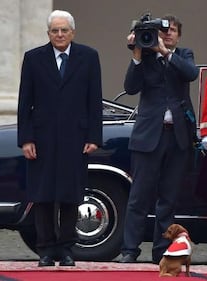 Briciola, la cagnolina che ruba la scena a Mattarella  2