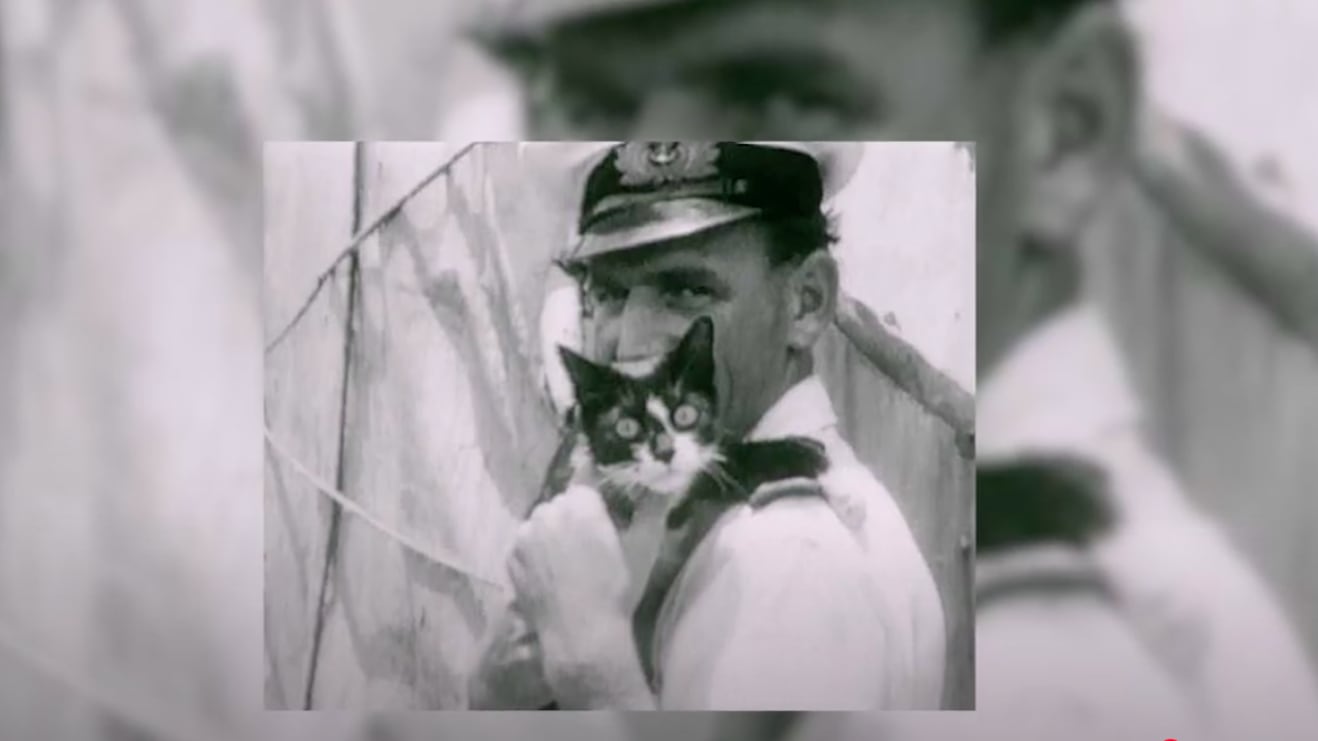 L'incredibile storia del gatto che sopravvisse a tre naufragi durante la Seconda Guerra Mondiale