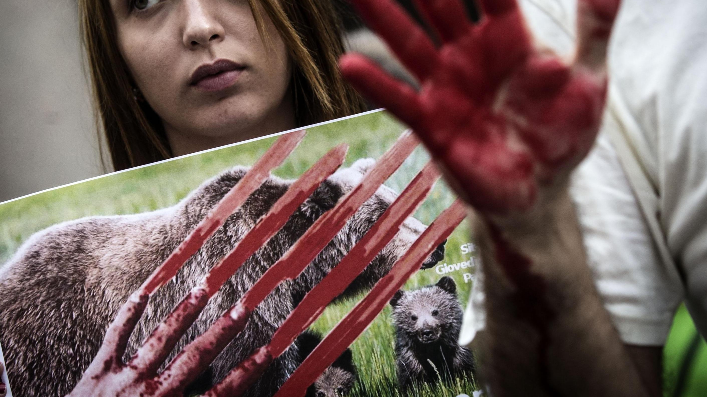 Animalisti scatenati, la Forestale apre un'inchiesta. E il caso diventa politico