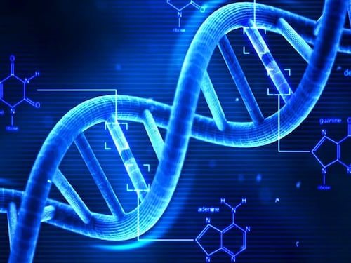 Nella scienza non si infrange nulla: la verità sulle molecole "impossibili"