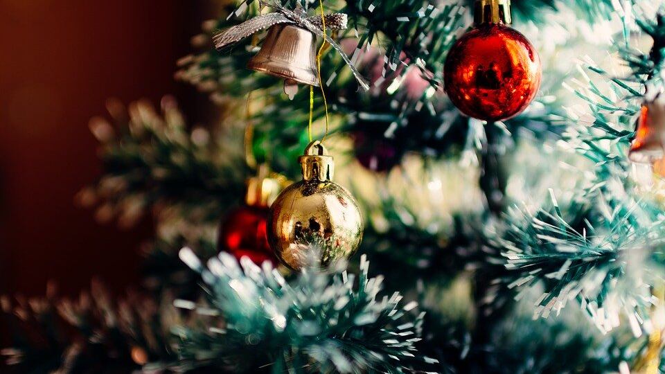 Germania, tasse pure sugli alberi di Natale
