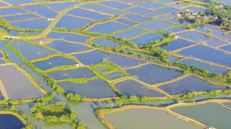 Così in Cina la conservazione del GHIAS promuove la rivitalizzazione delle campagne