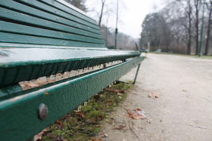 Milano, la città si sveglia ghiacciata 7