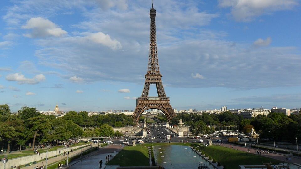 Parigi sconvolta da un'invasione di pulci