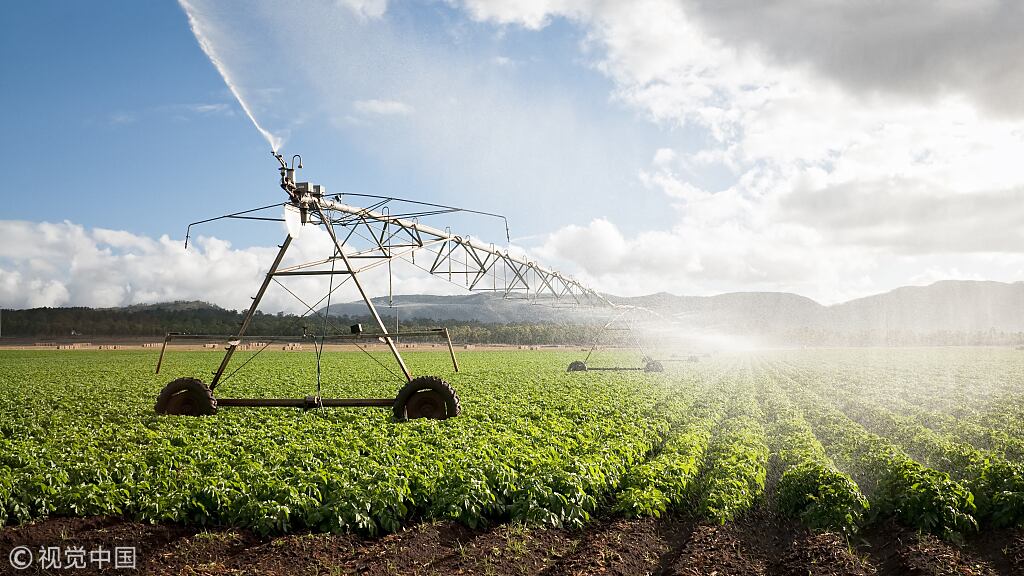 Cina e Italia: nuove opportunità cooperative nello sviluppo agricolo