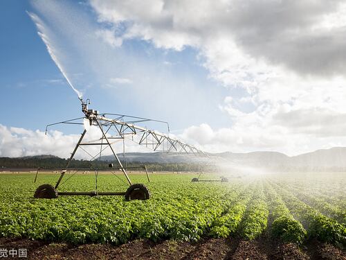 Cina e Italia: nuove opportunità cooperative nello sviluppo agricolo