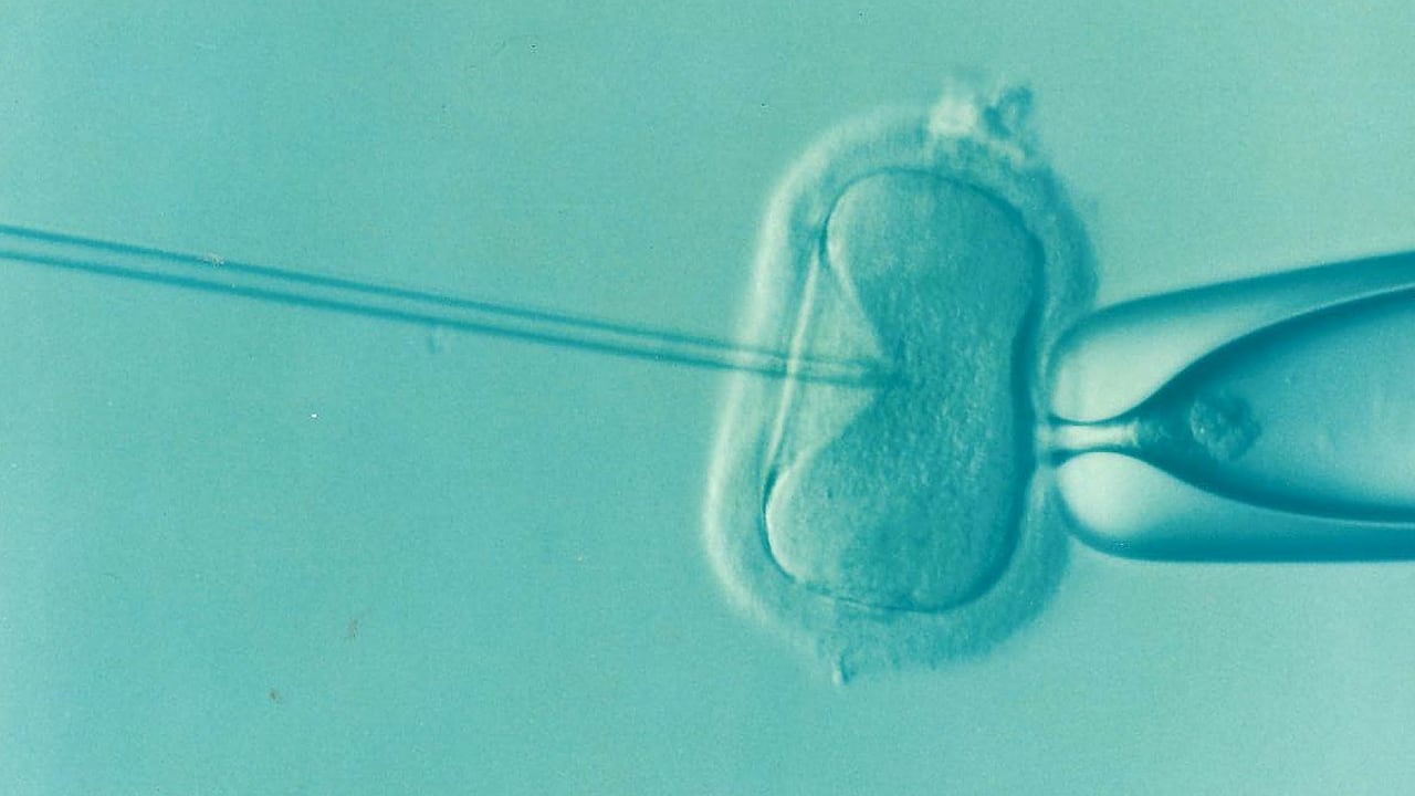 Microrobot per trattare l’infertilità: ecco come