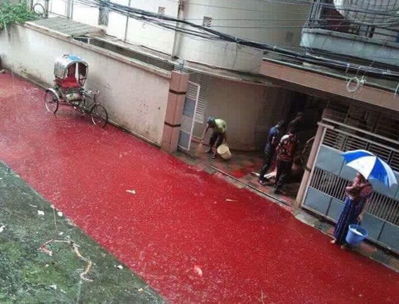 Dhaka, strade inondate di sangue 2