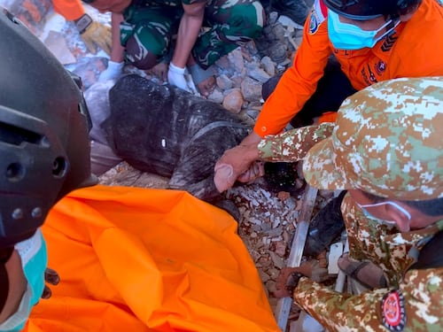 Terremoto in Indonesia di magnitudo 7.7: almeno 20 vittime, edifici distrutti