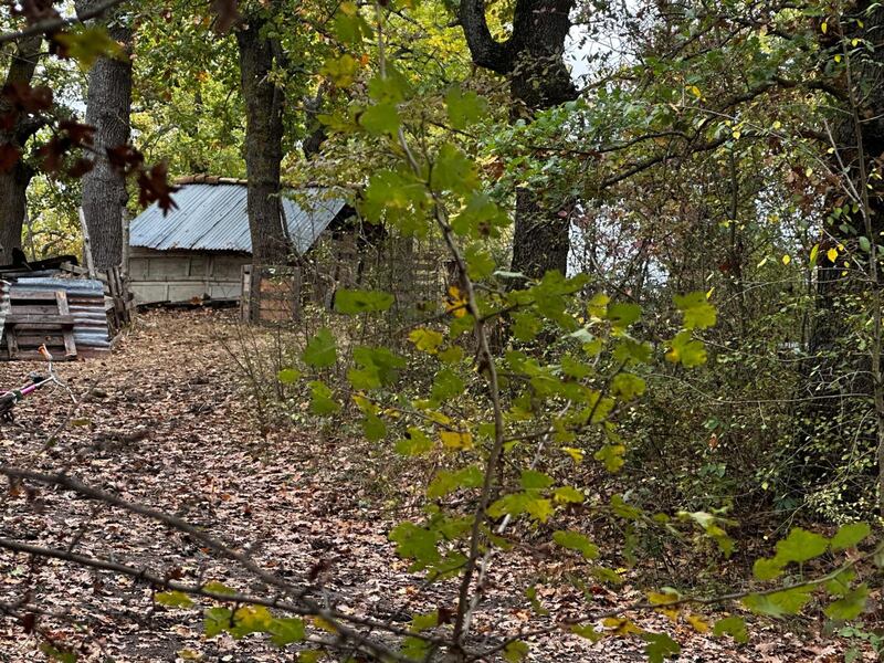 Famiglia nel bosco, le foto della casa a Palmoli 6